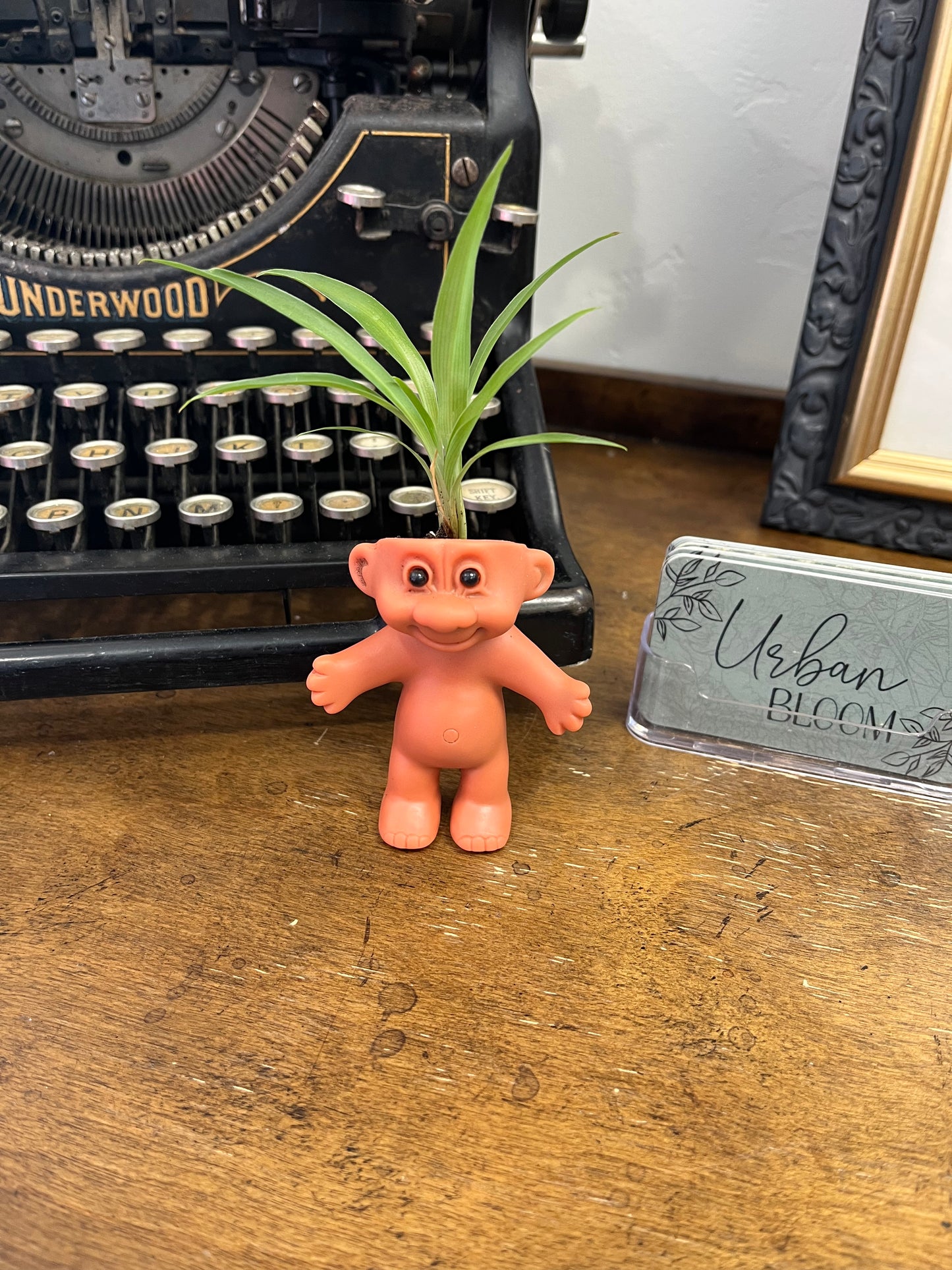 Troll Planter
